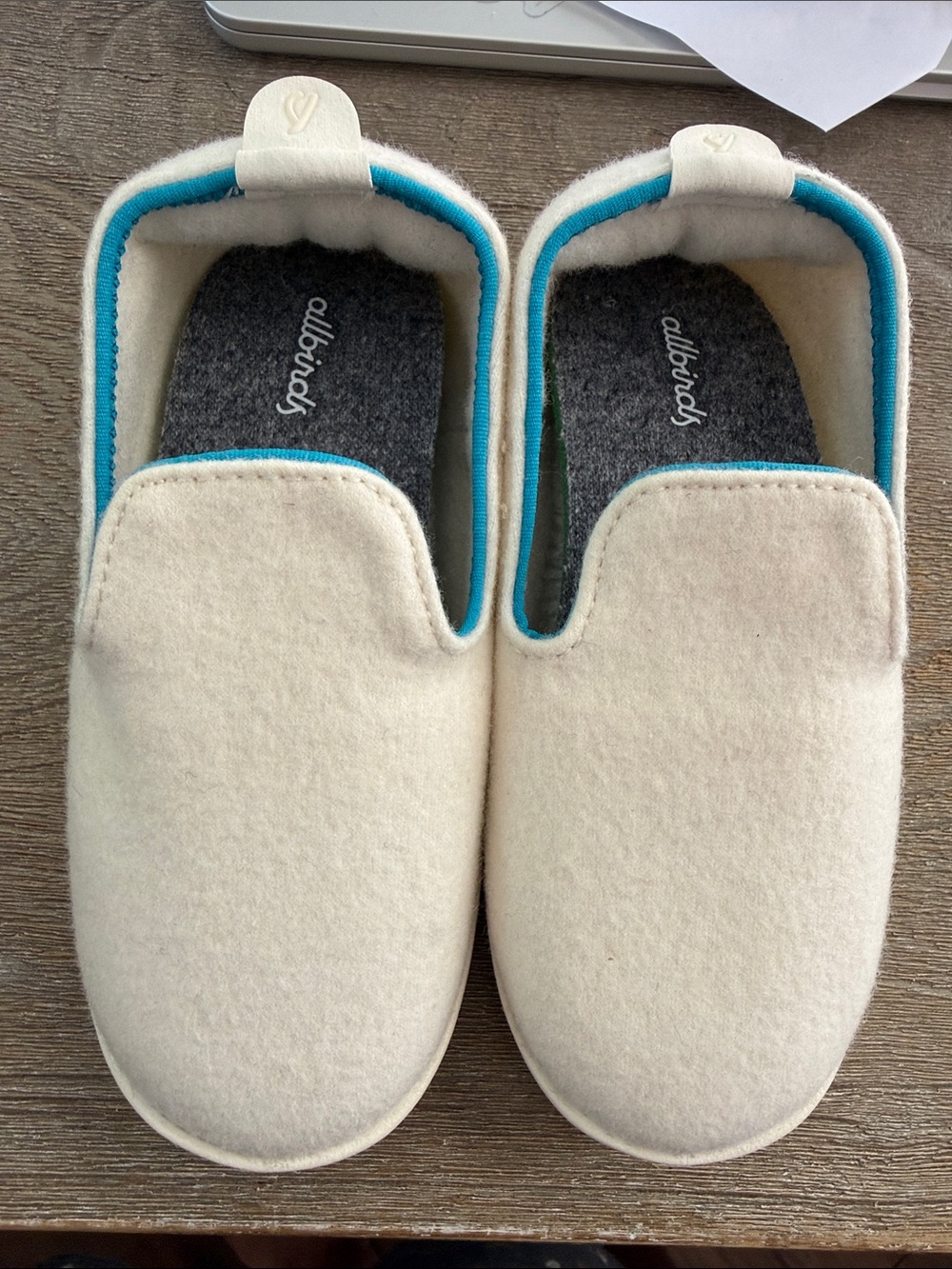 allbirds Kids Cream Wool Slip-Ons with Teal Trim